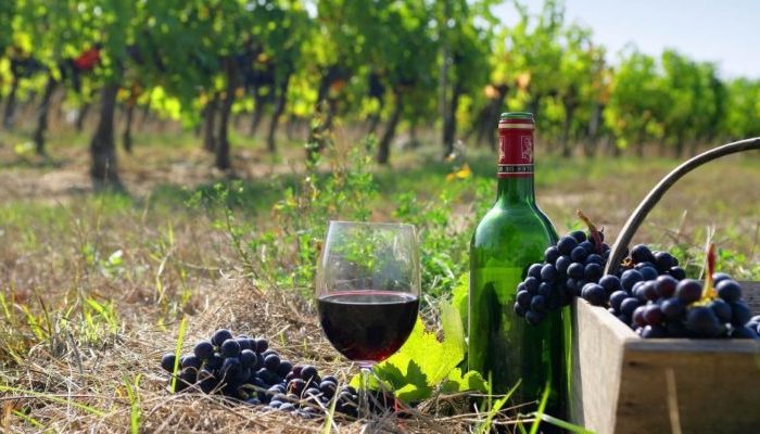 Azerbaijan Wine Tasting & Winery Tour
